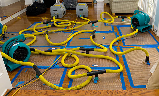 Professional Burst Pipe Water Damage technician working in Holland, MN